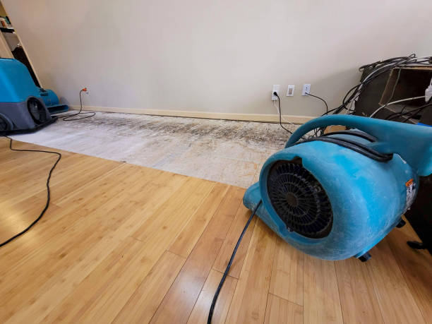 Professional Basement Flood Cleanup technician working in Central Point, OR